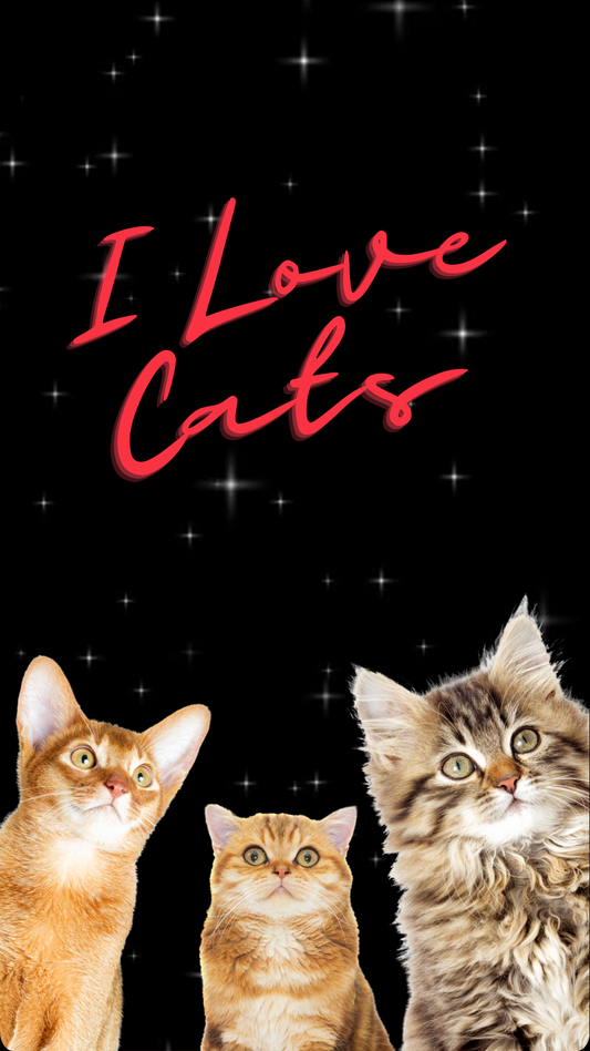 Katzen Freebie für Instagram, Tiktok und co